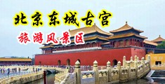 美女的骚b中国北京-东城古宫旅游风景区